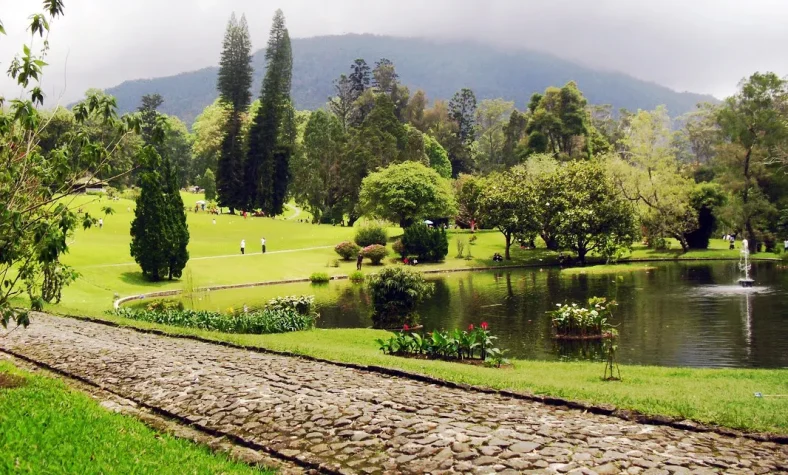 Kebun Raya Cibodas