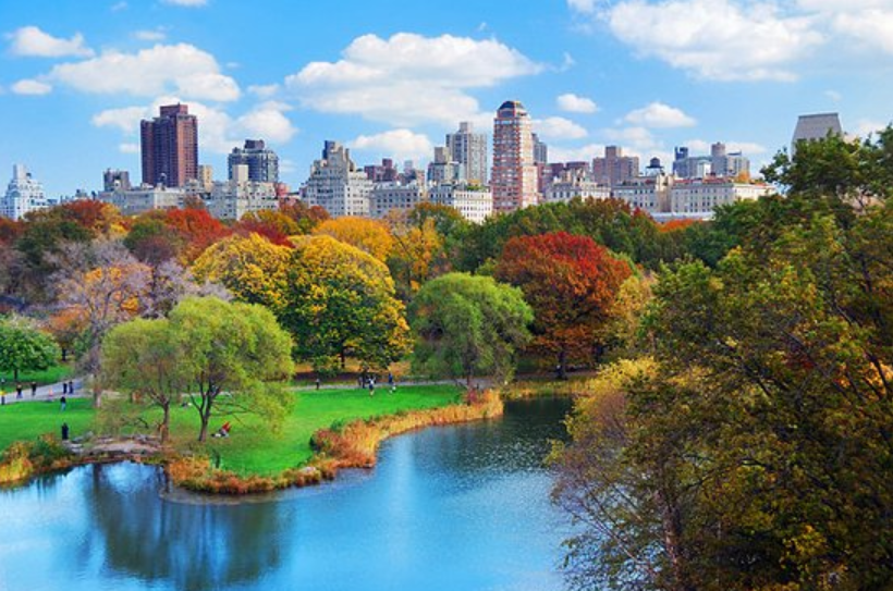 Taman Central Park New York Aktivitas dan Landmark Terkenal