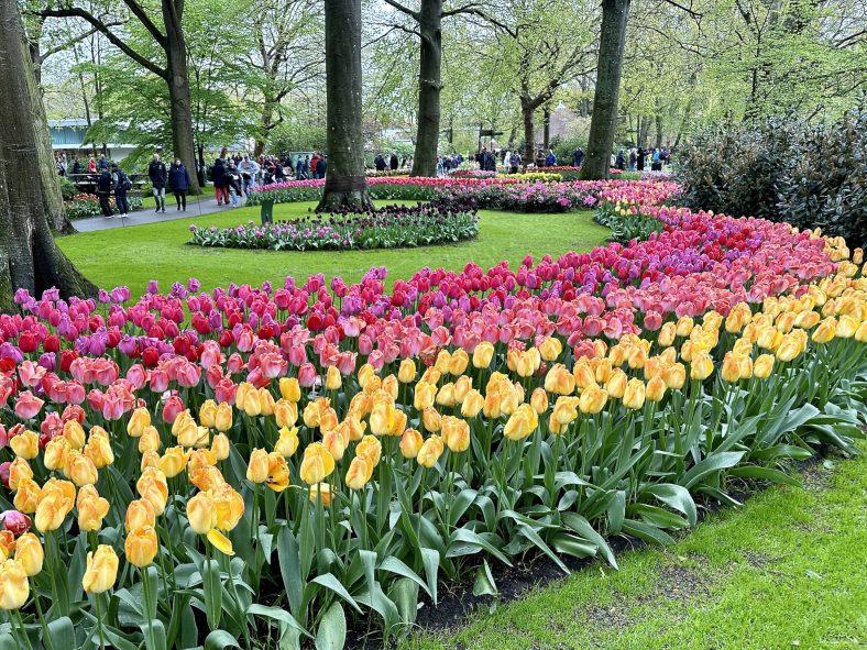 Keukenhof Garden